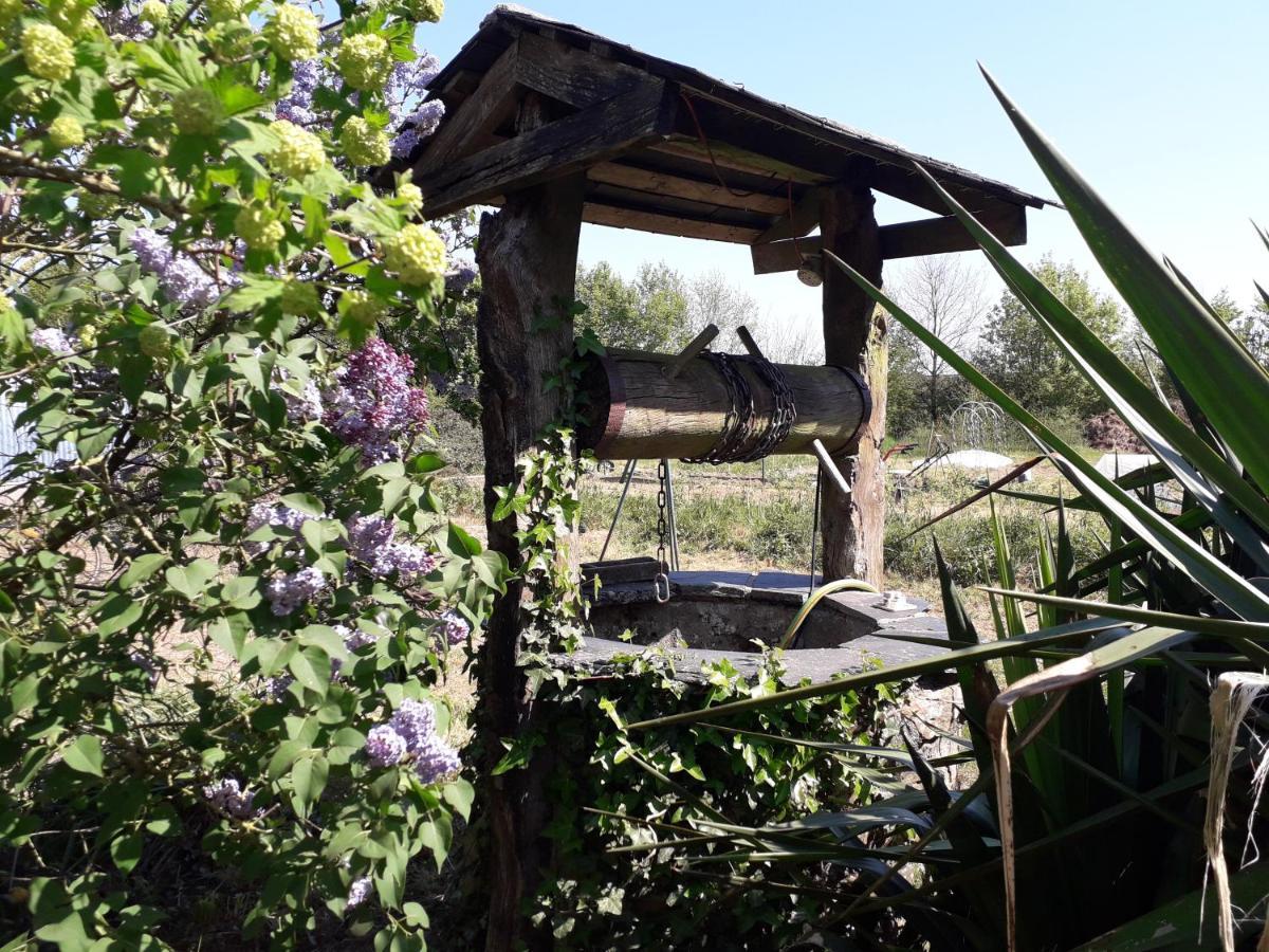 Chambre D'Hote La Bouliere Martigné-Ferchaud Exterior foto